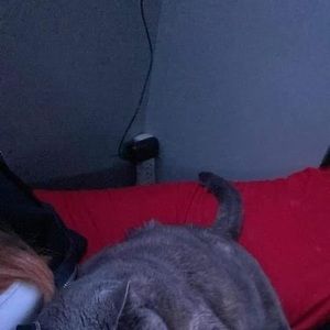 Meet your Posher, Jade